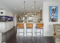 Beaches are open!!! Come stay at theBeach! Hotels near Pass A Grille Dog Beach