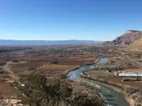 LARGE HOUSE - Perfect for groups! In the middle of WINE COUNTRY - WALK TO TOWN!