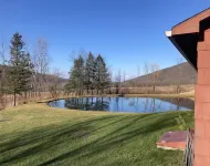 Scenic Fingerlakes Hideaway , Bristol mountain, Letchworth park!