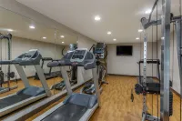 Comfort Inn Petersburg Fort Lee Area Hotels in Rives