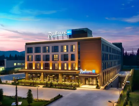 Radisson Blu Hotel, Sakarya Отели рядом с достопримечательностью «Ebk Cami»