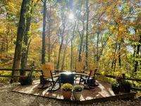 Secluded Suite in the FOREST