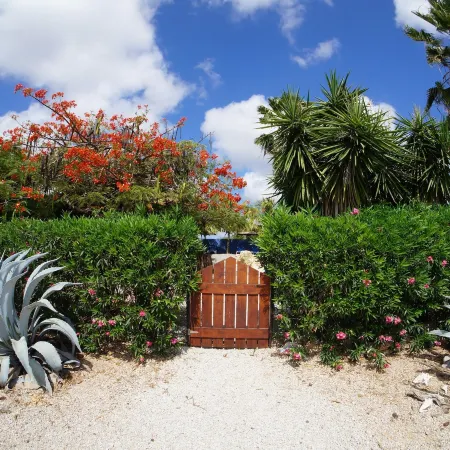 Caribbean Chillout Apartments