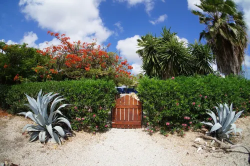 Caribbean Chillout Apartments