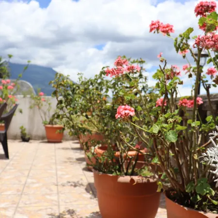 Casa Quetzalli, la Recolección