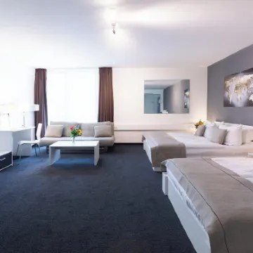 Hotel Aviva Hotels near Heiterblick
