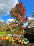B&B Aline Florentine - Adults Only - Luxury B&B - Chambres d'Hôtes - Zimmer Frei - Short Stay Hoteles en 