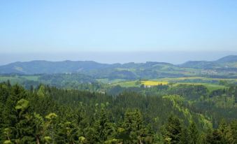 Comfortable Apartment in the Black Forest