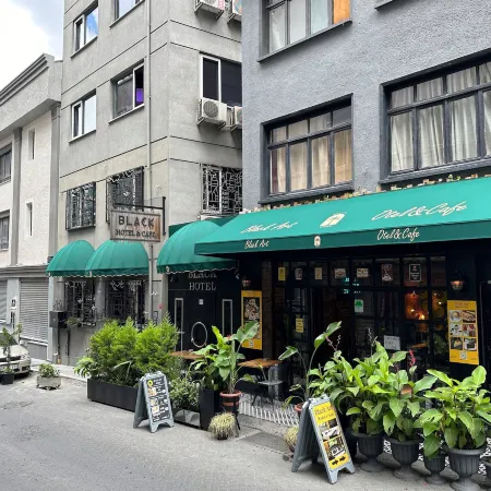 Black Art hotel