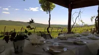 Agriturismo San Sano Hotels in Gaiole in Chianti