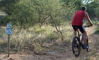 Bushbaby River Lodge