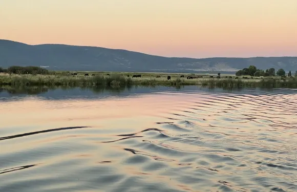 Millz莊園在秋河Millz