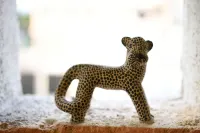 Cancun Guest House 1