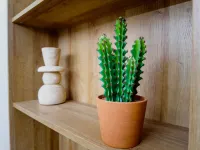 Promo ! Cocon Dumyse, Proche du Jardin Botanique ! - homestay