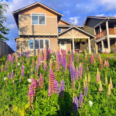 Central Tacoma Homestay with Breakfast Included -Private Room-