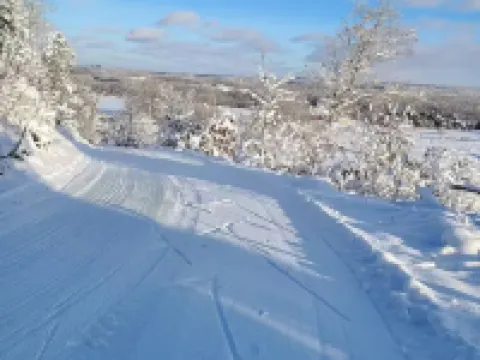 Broken Willow Bungalow Hoteles en Union