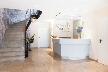 Boutiquehotel Drei Ringe Schwörstadt - Rheinfelden Отели в г. Бад-Зекинген