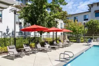 Hampton Inn & Suites Windsor - Sonoma Wine Country - Pools