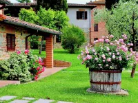 Farmhouse Umbria-Tuscany with Pool - Homestays