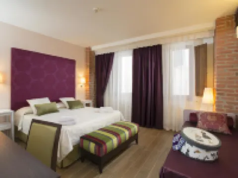 ホテル アルマ ドムス シエナのホテル