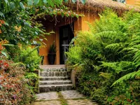 Sambora Kinigi Hotels near Bisoke Hike Volcanoes National Park