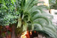 Apartment in Imperia Near the Sea