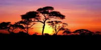 Bothabelo Bed and Breakfast
