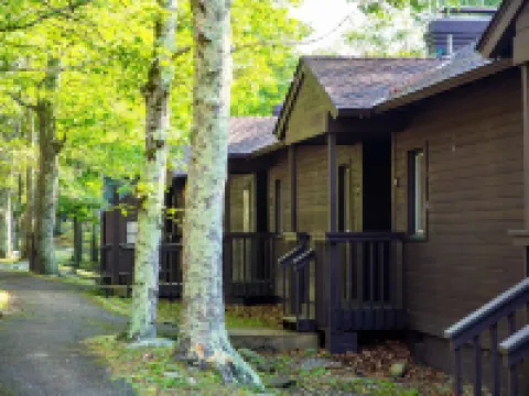 บิ๊กมีโดวส์ลอดจ์ โรงแรมในPage County