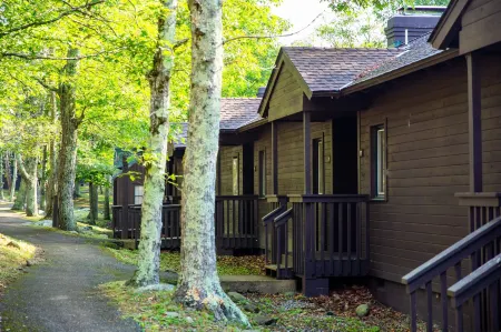 Big Meadows Lodge Отели в г. Робертсон