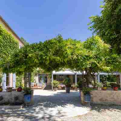 Le Moulin de Mitou Hotel Exterior