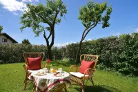 Piccolo Orso Bruno Hotels in Coredo