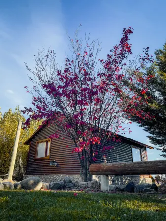 Paraiso Patagónico Bungalows and Aparts