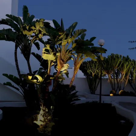 Apartamentos El Guarapo