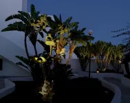 Apartamentos El Guarapo Hotels in Costa Teguise