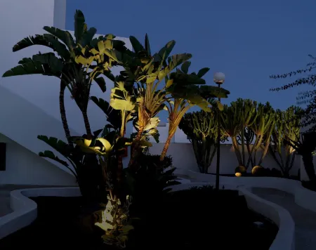 Apartamentos El Guarapo