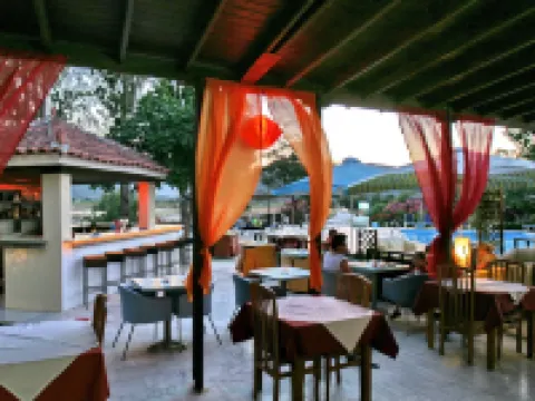 Aegeon Hotel Hotels in Lesbos