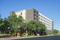 DoubleTree by Hilton Hotel San Antonio Downtown Hotels near San Fernando Cathedral