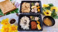 Toyoko Inn Hon-atsugi-eki Minami-guchi Hotel a Isehara