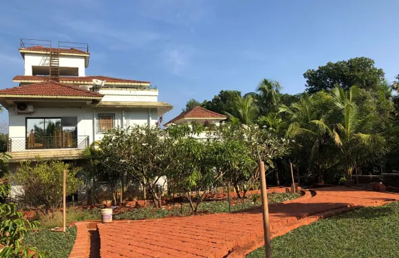 Surve自然度假村