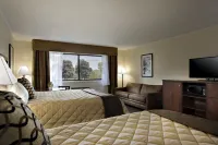 Chestnut Mountain Resort Hôtels à : Bellevue
