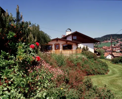 Pension Ferienwohnungen Ludwig Hotels in Lam