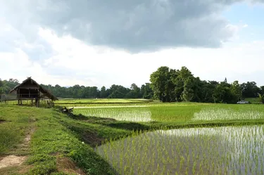 รูปภาพของอูปแก้วรีสอร์ท