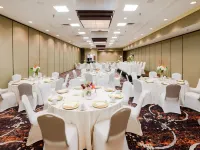 Holiday Inn 奧斯汀城 邦內爾山附近的飯店