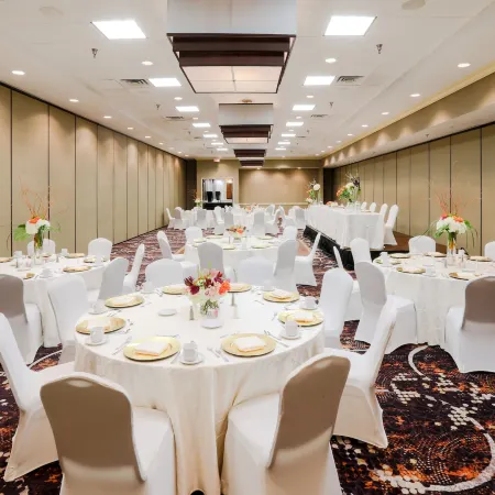 Holiday Inn AUSTIN MIDTOWN by IHG