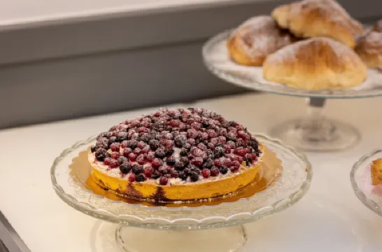 羅馬卡斯特里諾酒店