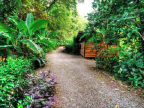 La Shamana - Ecological Concept in Jungle Hotels in Cahuita