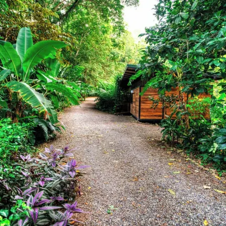La Shamana - Ecological Concept in Jungle