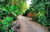 La Shamana - Ecological Concept in Jungle Hotel a Cahuita