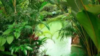 Cabañas del Lago - Parkering