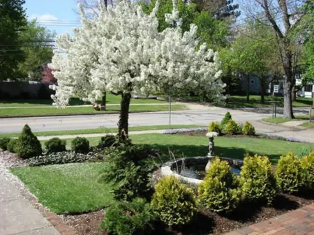 Rocking Horse Inn Отели в г. Кент